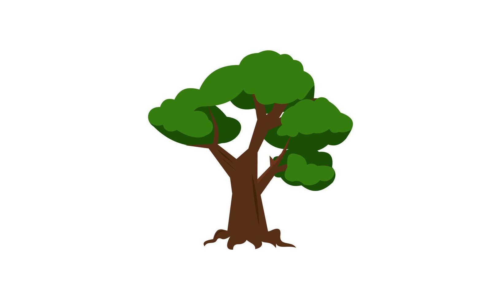 árbol verde caducifolio con raíces expuestas ilustración vectorial aislada vector
