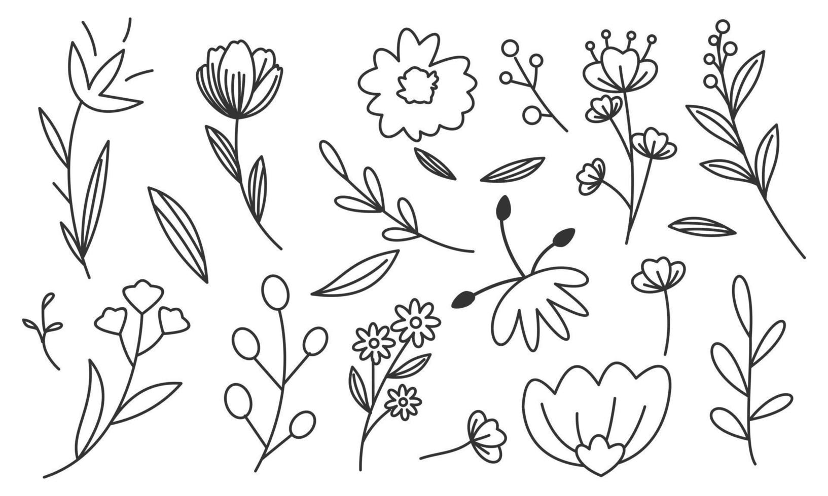 Hand drawn flower and branches doodle vector