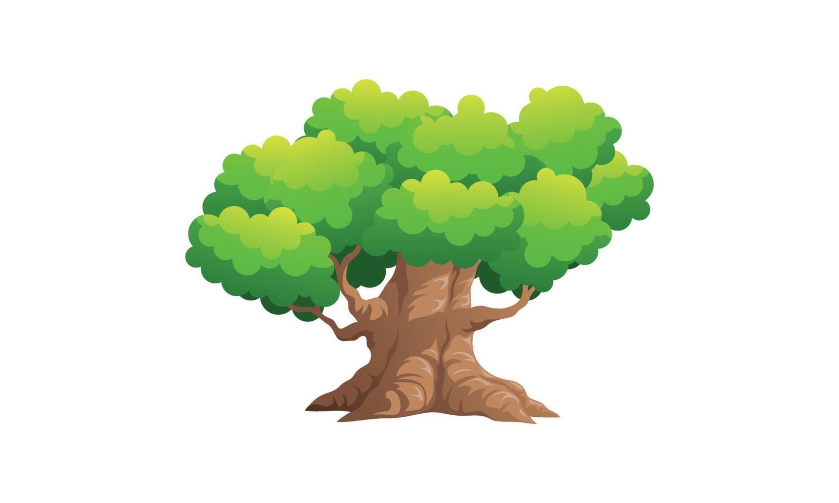 árbol verde caducifolio con raíces expuestas ilustración vectorial aislada vector