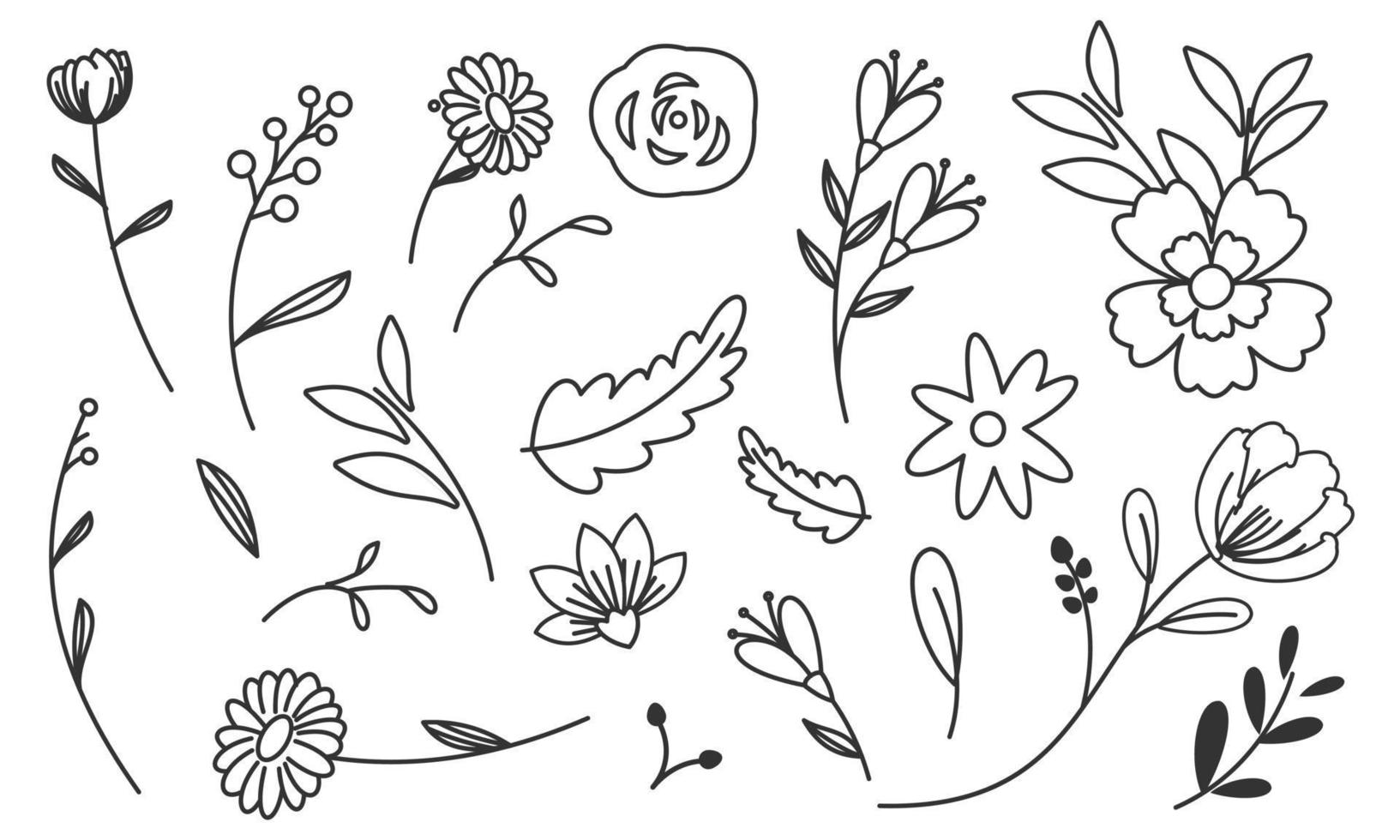 Hand drawn flower and branches doodle vector