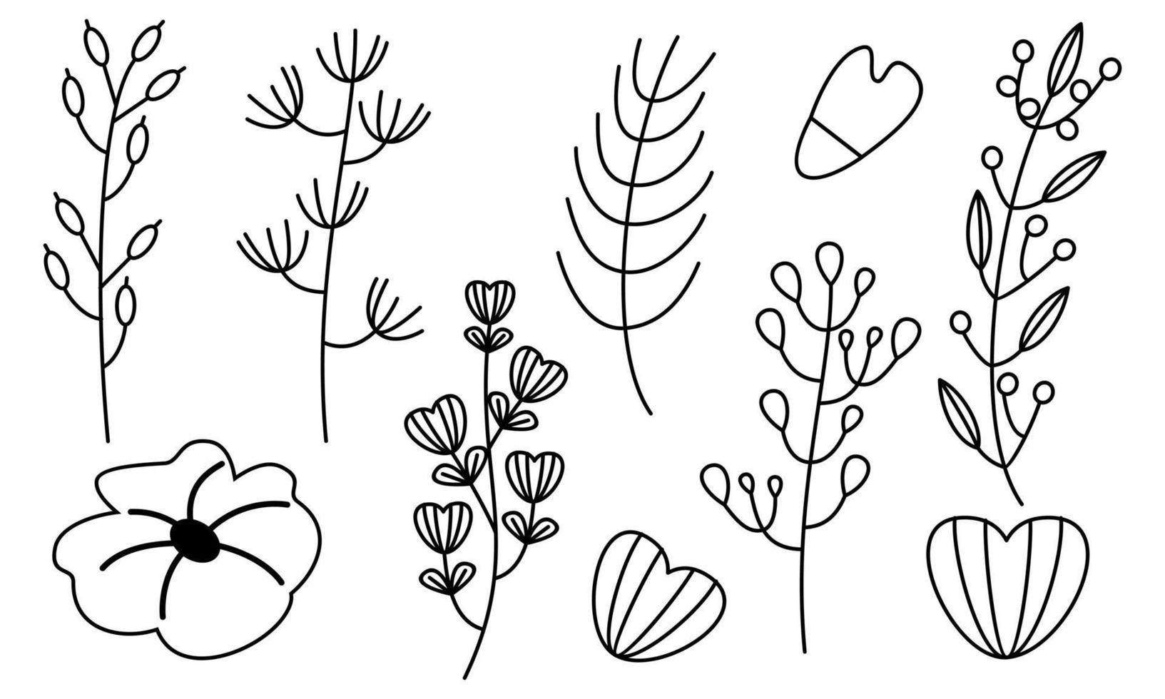 vector de doodle de flores y ramas dibujadas a mano