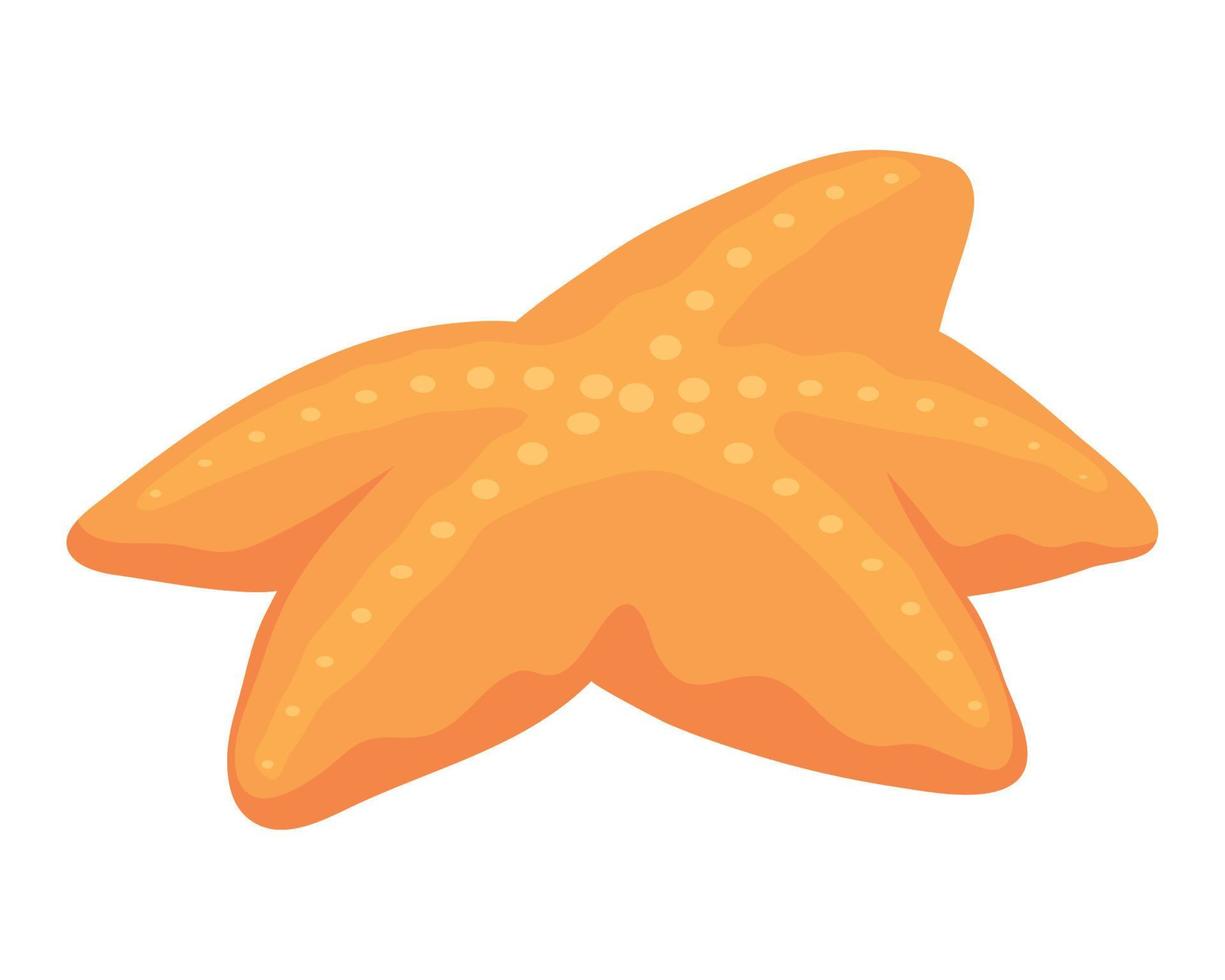 vida marina estrella de mar naranja vector
