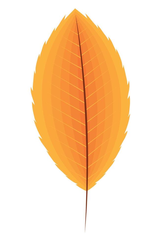 hoja de temporada de otoño naranja vector