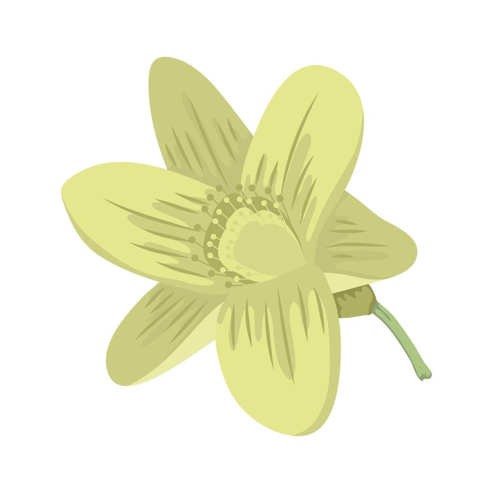 flor verde primavera vector