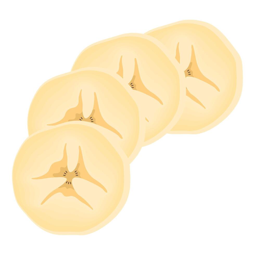 fresh bananas fruits slices vector