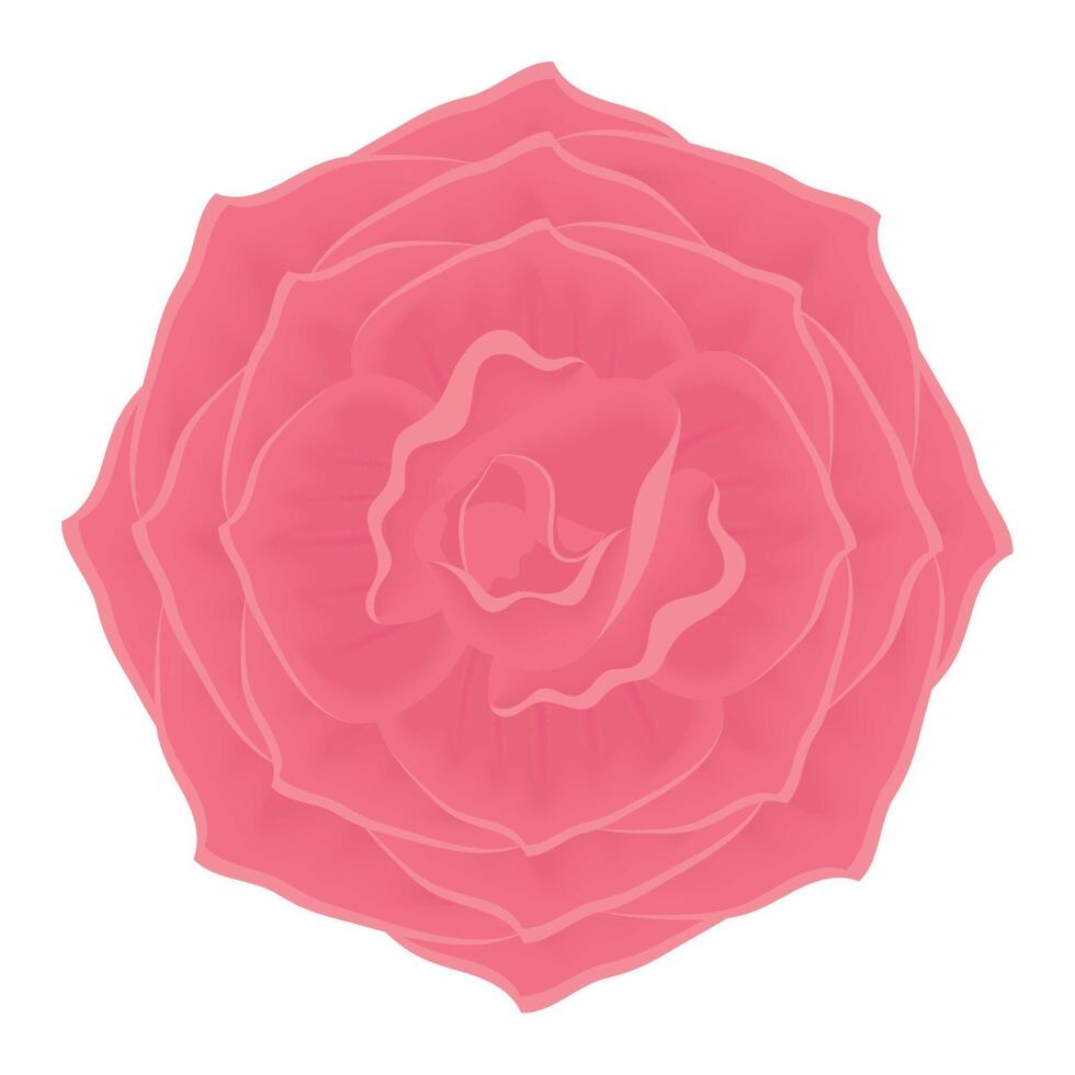 red rose flower garden vector