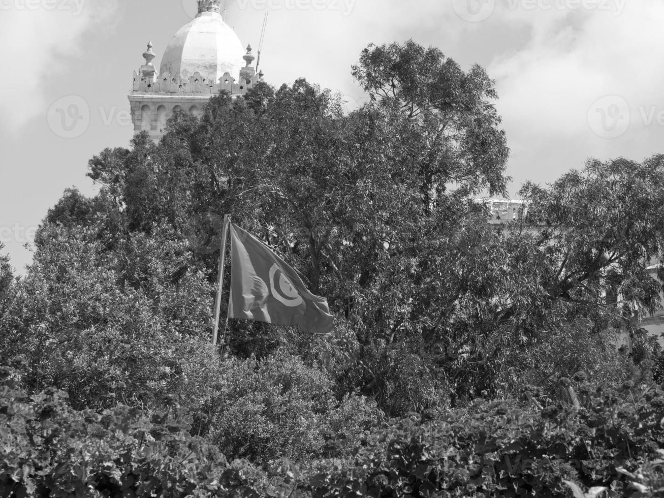 the city of tunis photo