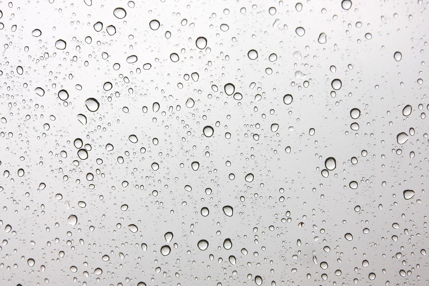 Rain drops on the windshield. photo