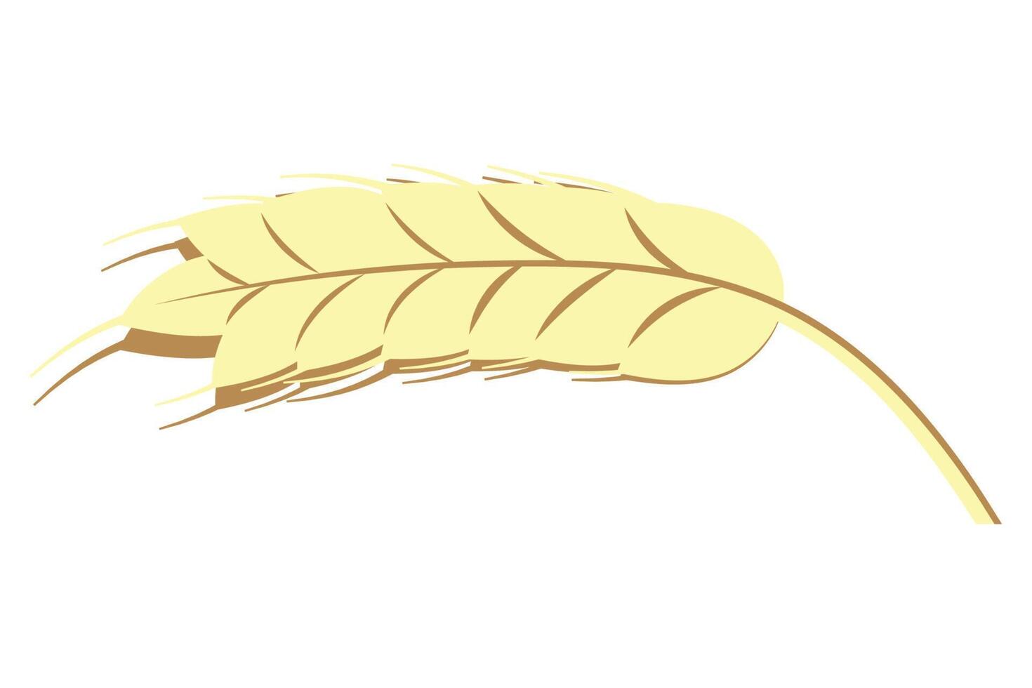 wheat ear spike vector