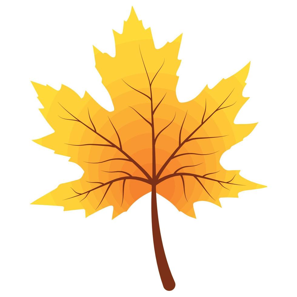 autumn season maple leaf vector
