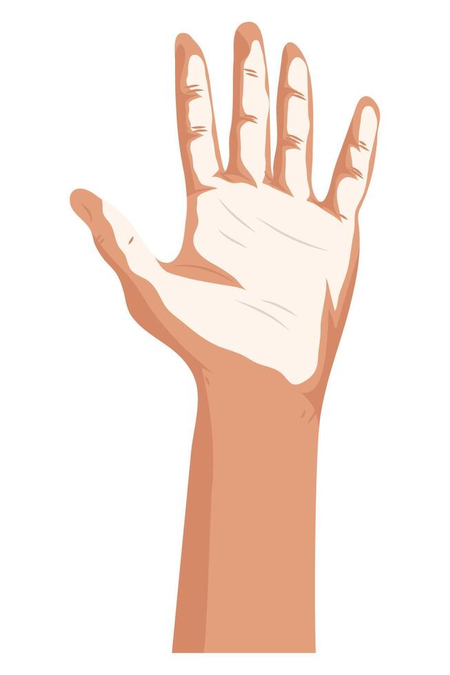 hand with paint white vector