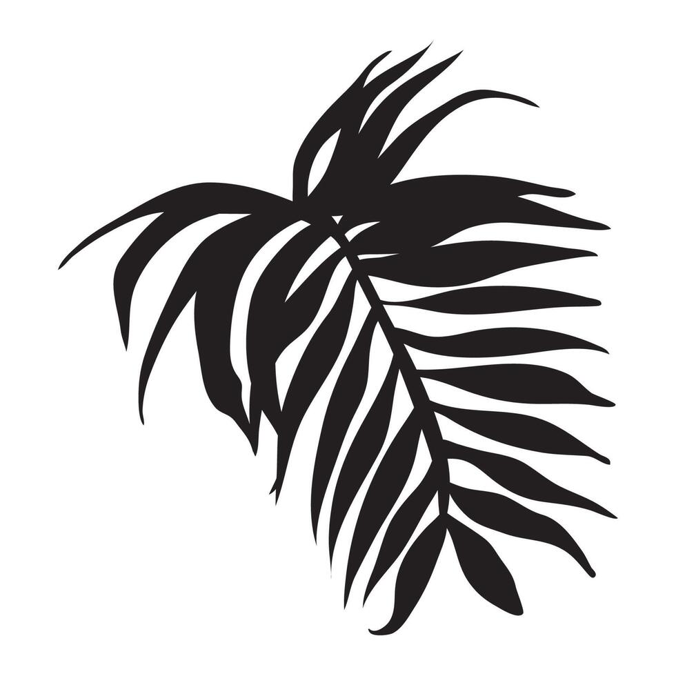 exotic leaf palm silhouette vector