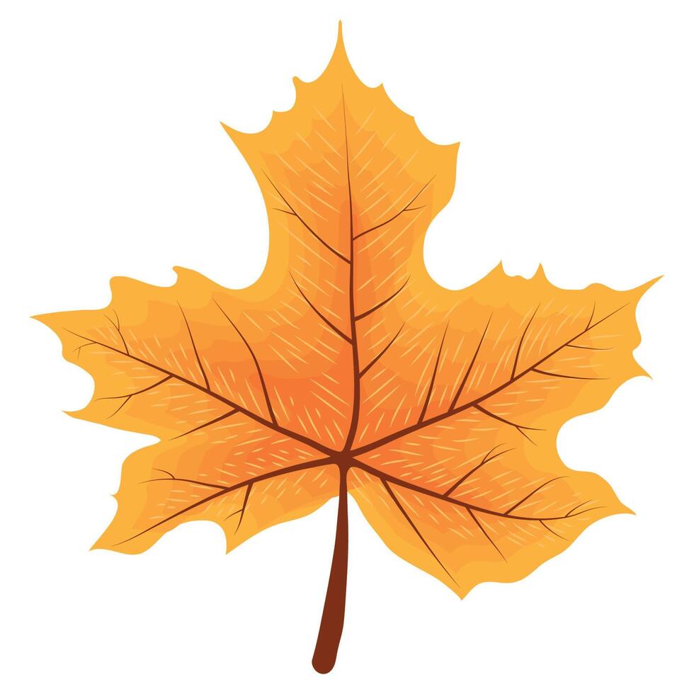 orange autumn maple leaf 10849230 Vector Art at Vecteezy