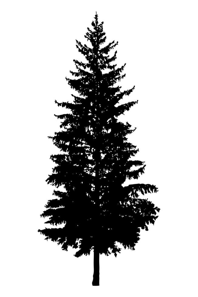 pine tree forest silhouette vector