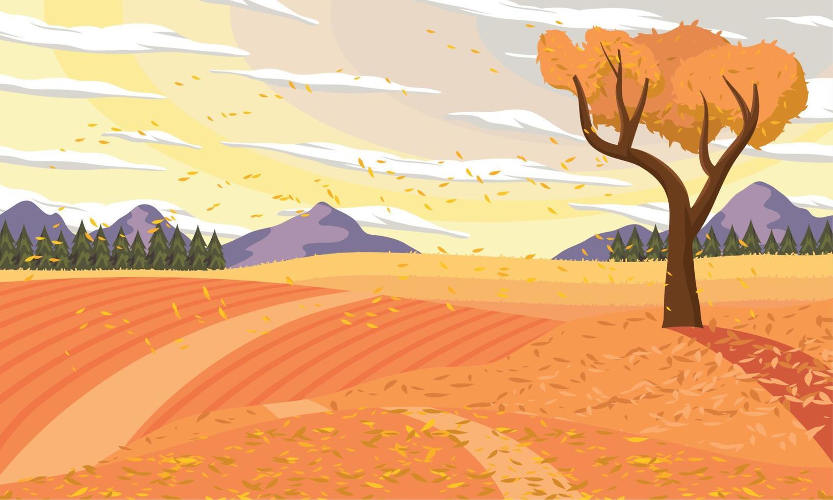 autumn field landscape seasonal vector