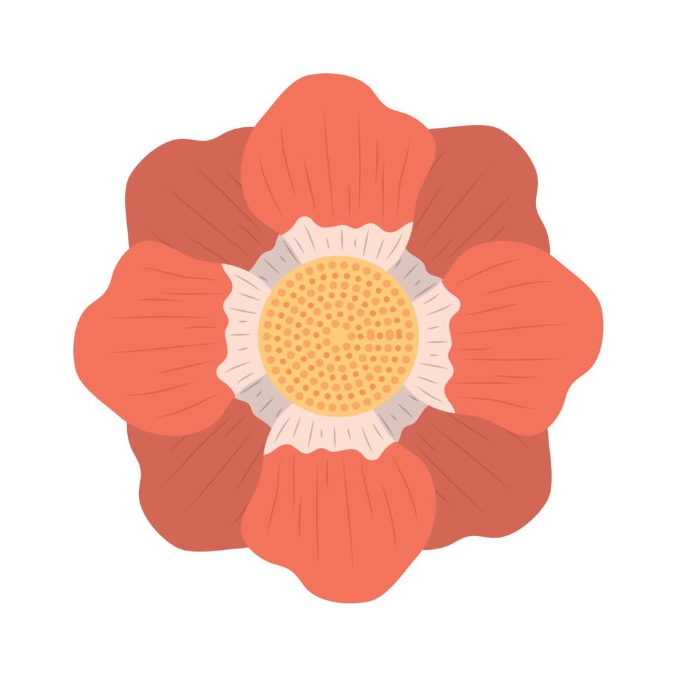 beautiful red flower vector