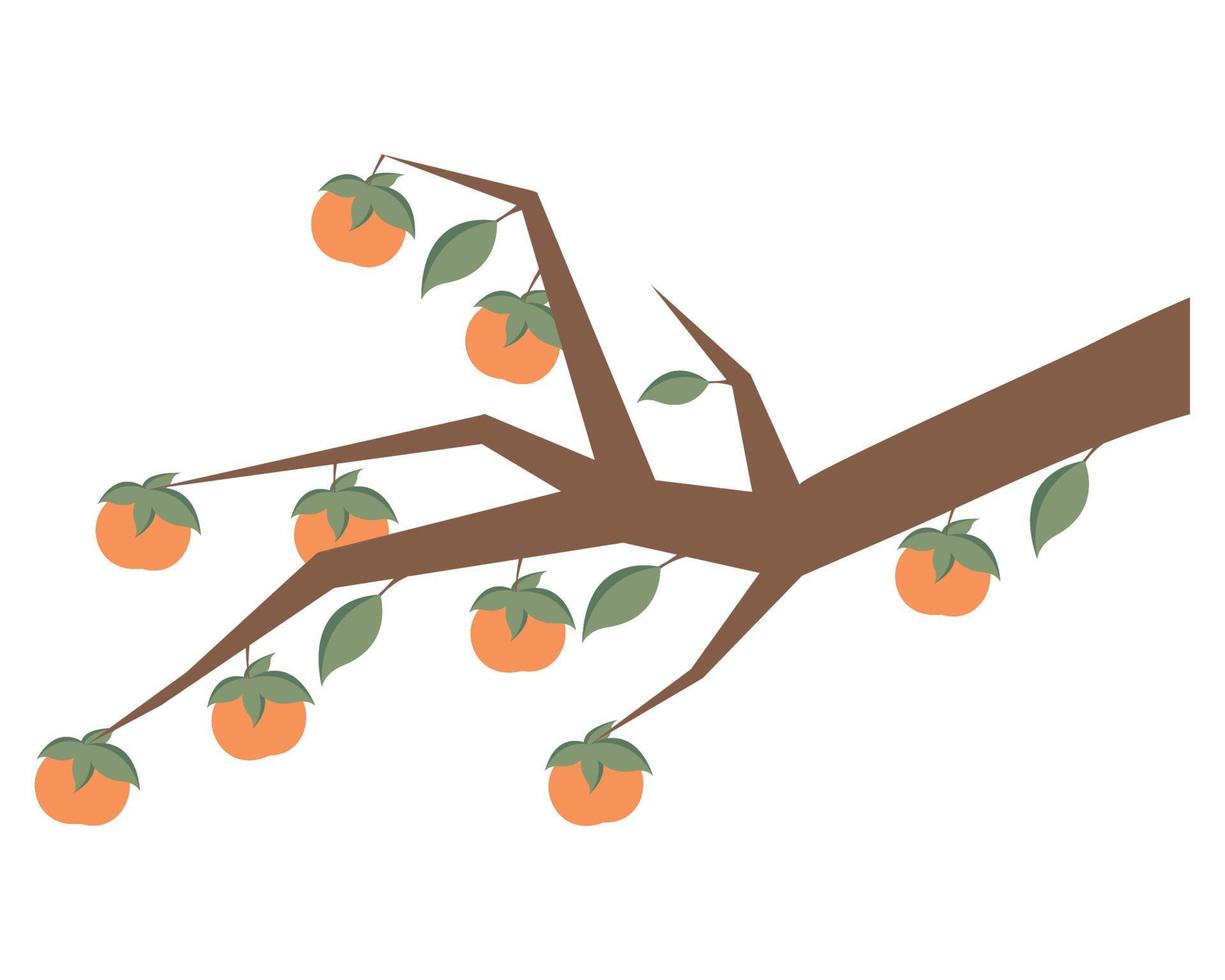 rama con frutas naranjas vector