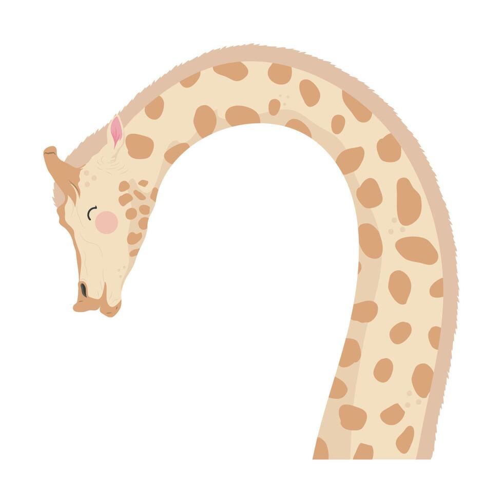 cute giraffe animal vector