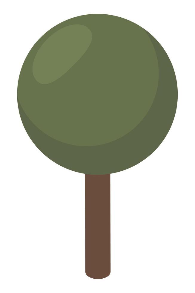 tree plant isometric vector