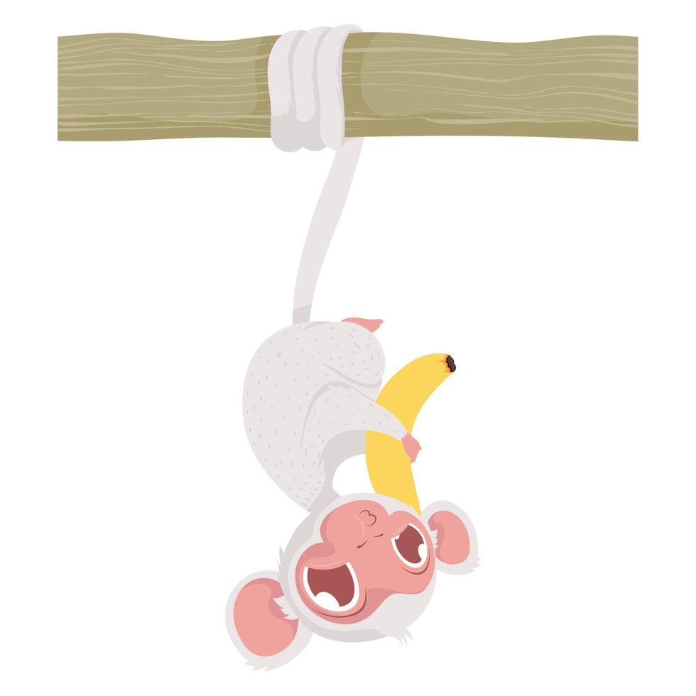 cute monkey eating banana vector