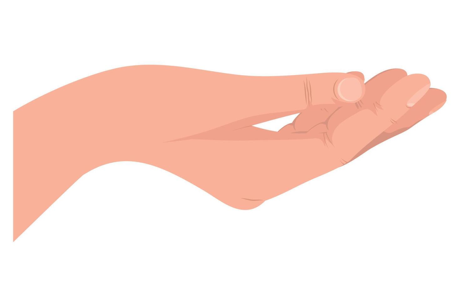 hand human receiving gesture vector