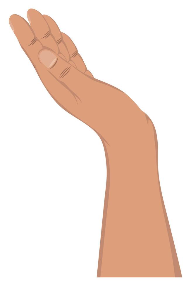 afro hand receiving gesture vector