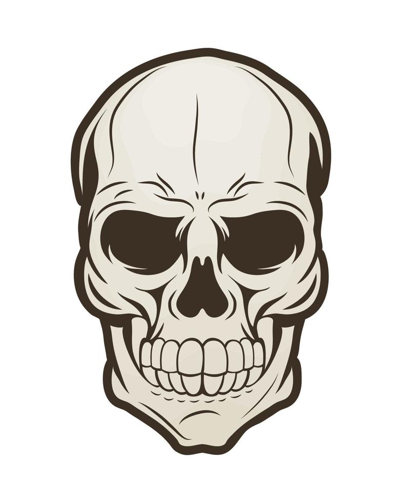 skeleton skull head vector