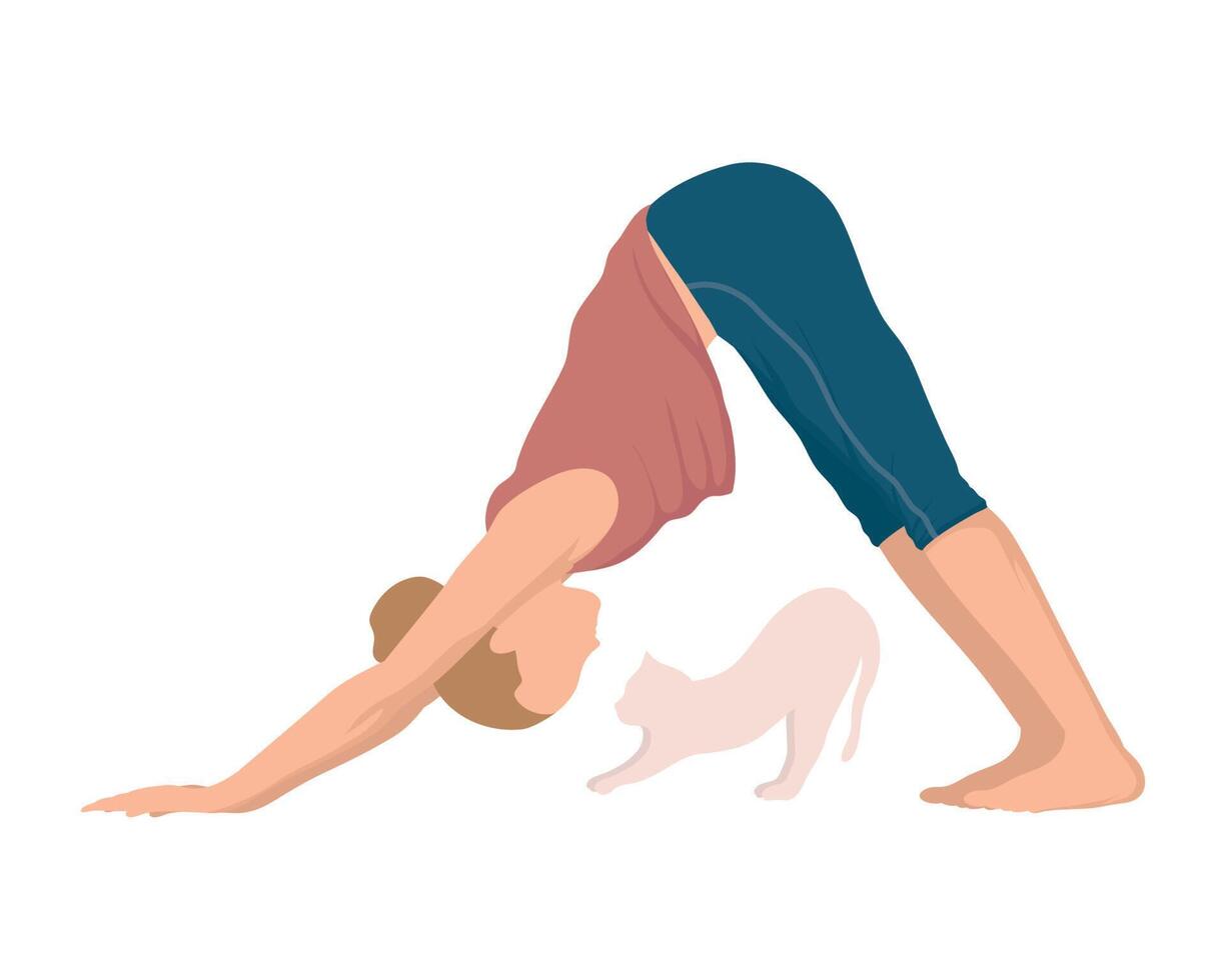 lady practicing yoga with cat vector