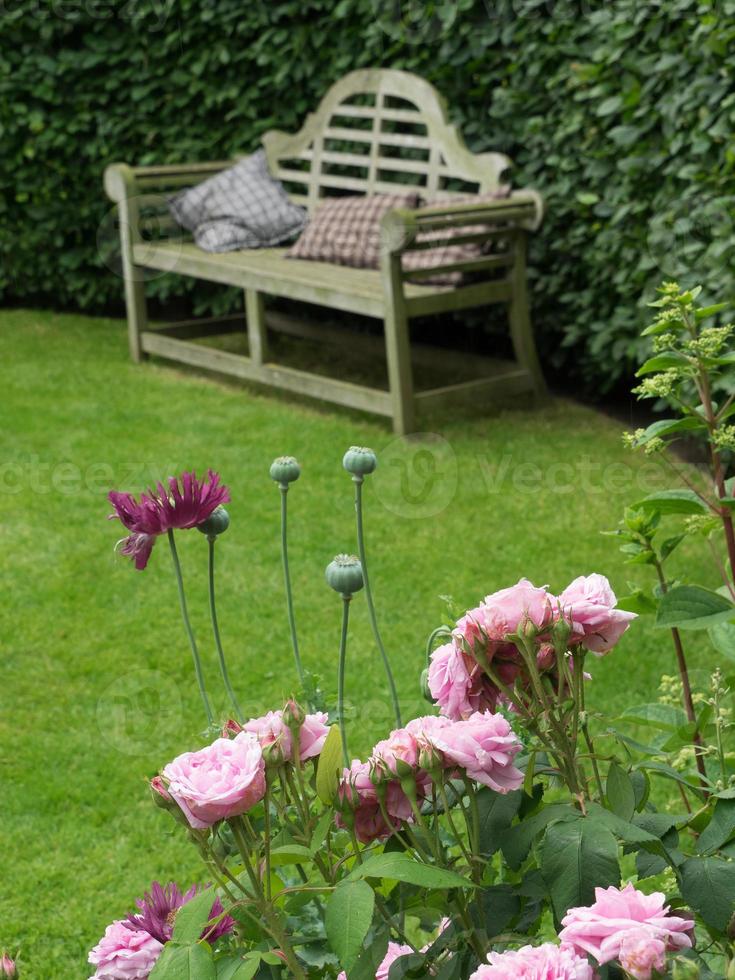 Summer garden in westphalia photo