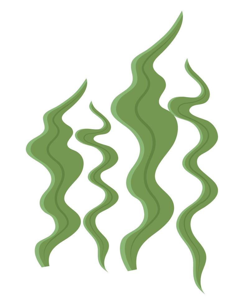 green algaes sealife vector
