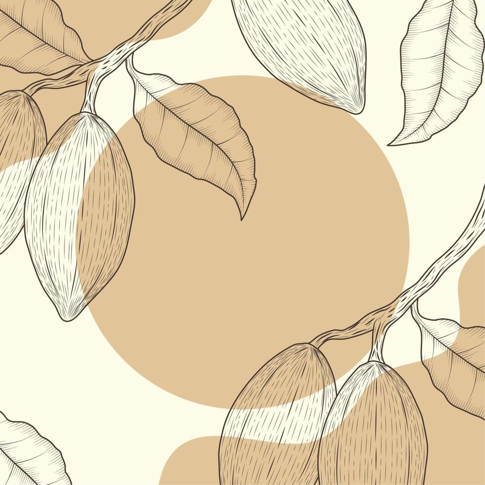 cocoa branches in frame vector