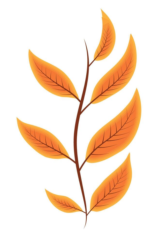 autumn season branch vector