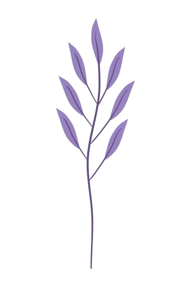 purple branches with leafs vector
