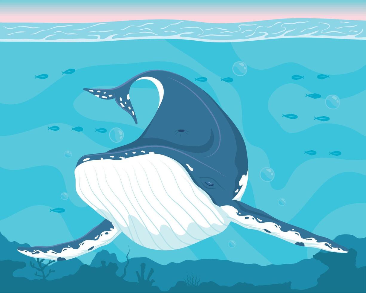 whale fish undersea scene vector