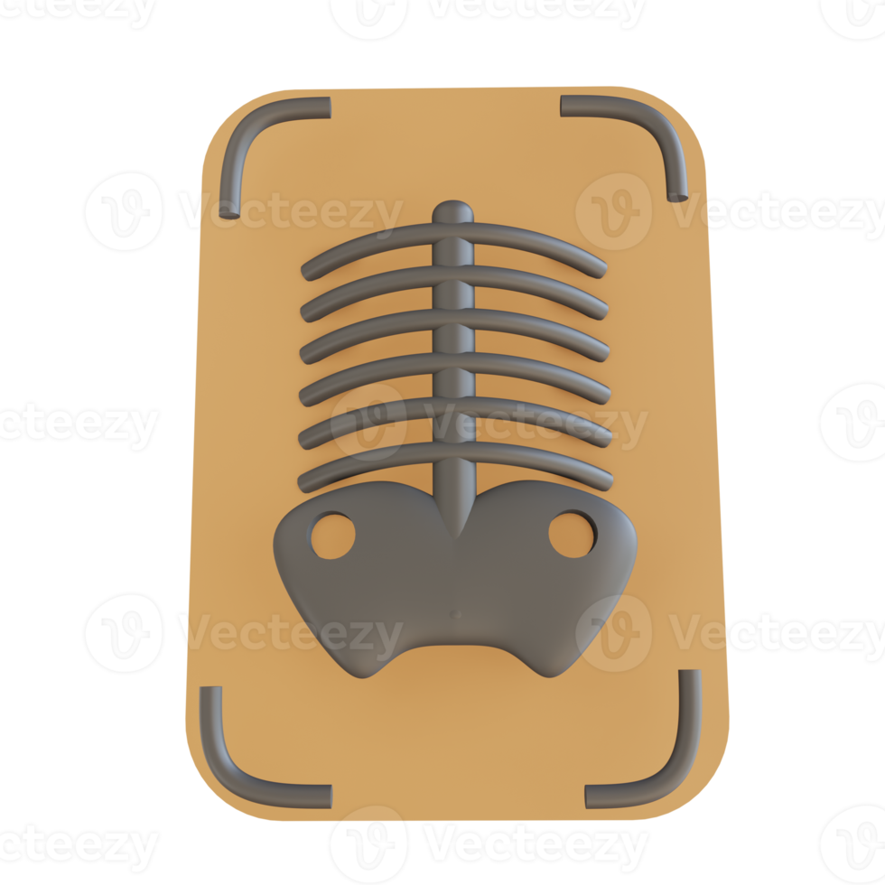 illustration 3d x ray adaptée à la médecine png