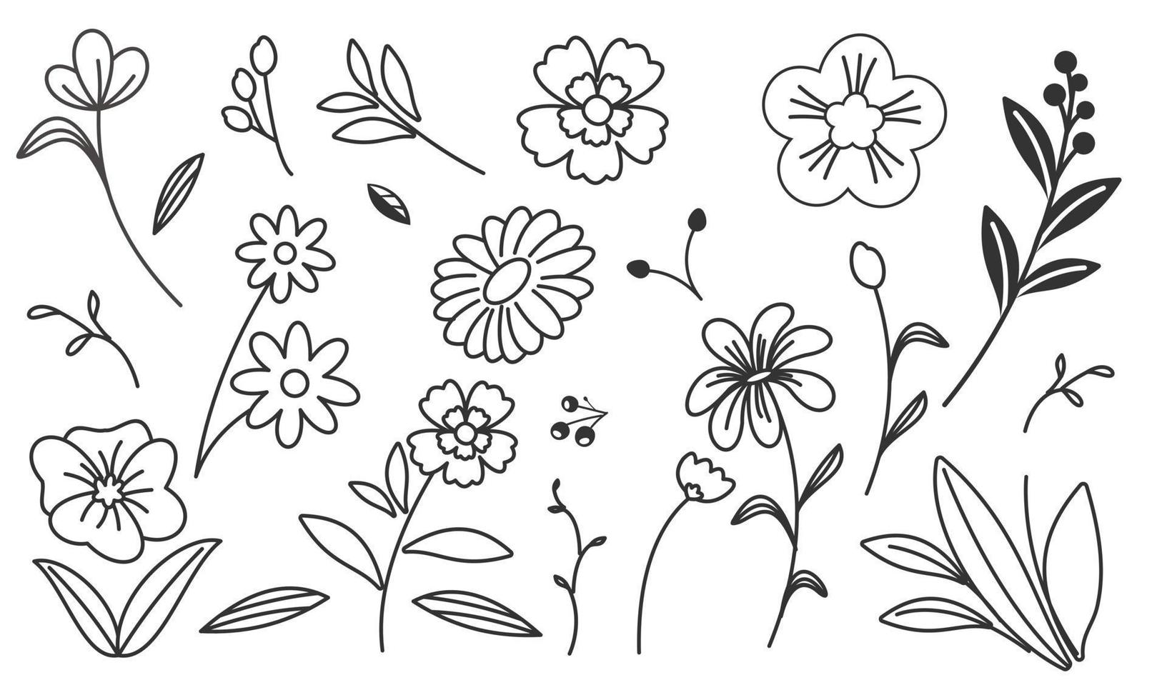 vector de doodle de flores y ramas dibujadas a mano