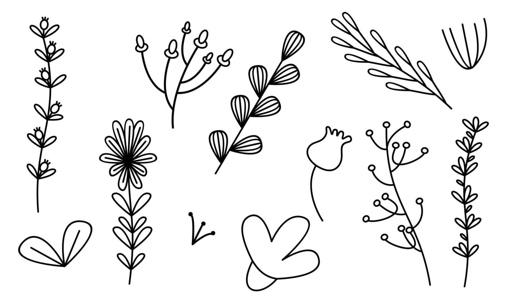 vector de doodle de flores y ramas dibujadas a mano