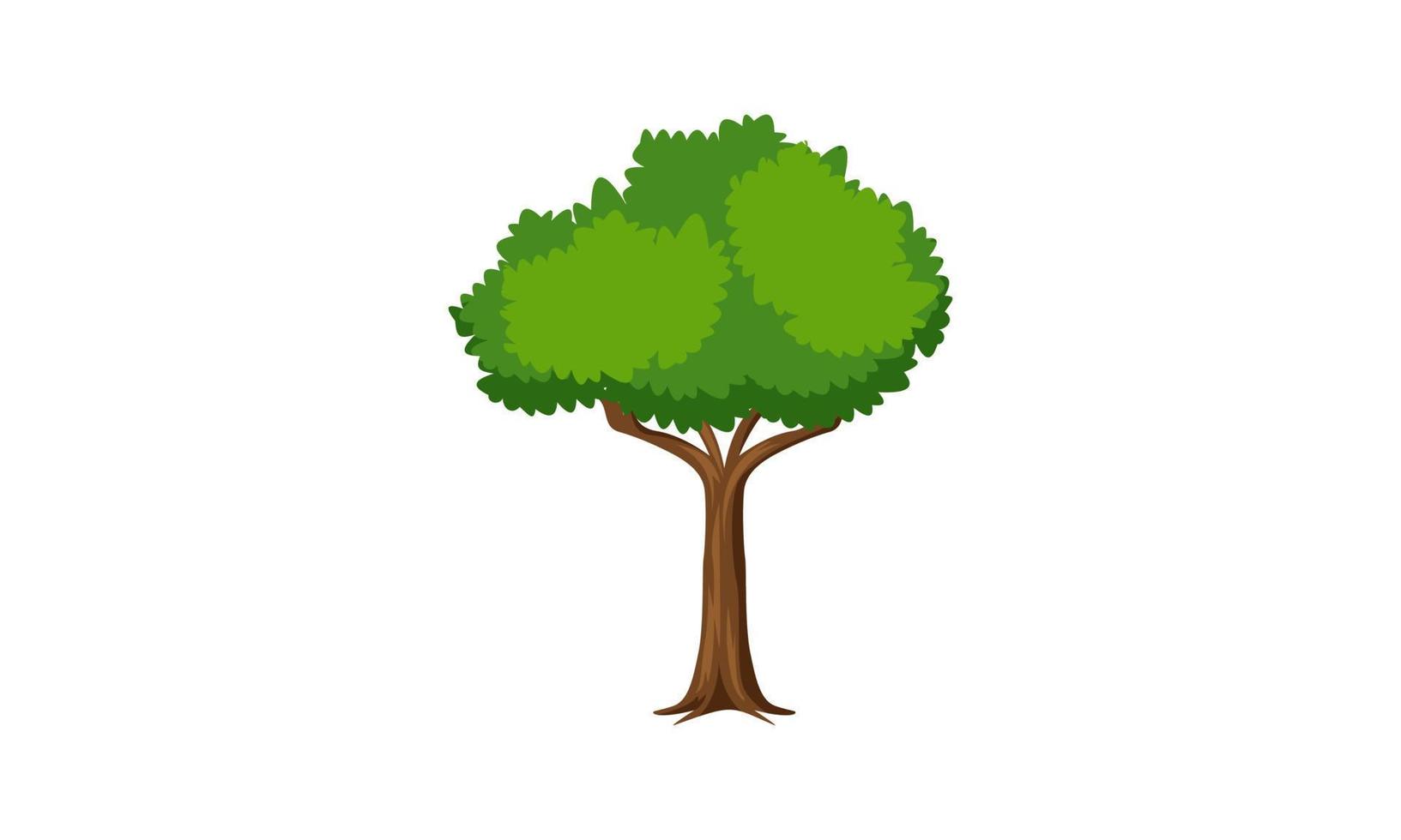 árbol verde caducifolio con raíces expuestas ilustración vectorial aislada vector