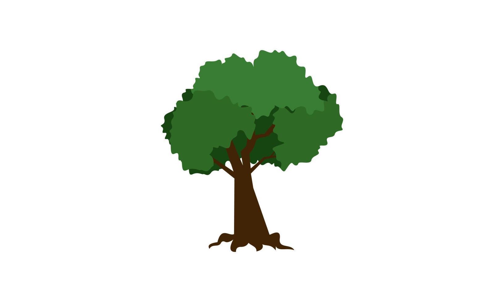 árbol verde caducifolio con raíces expuestas ilustración vectorial aislada vector