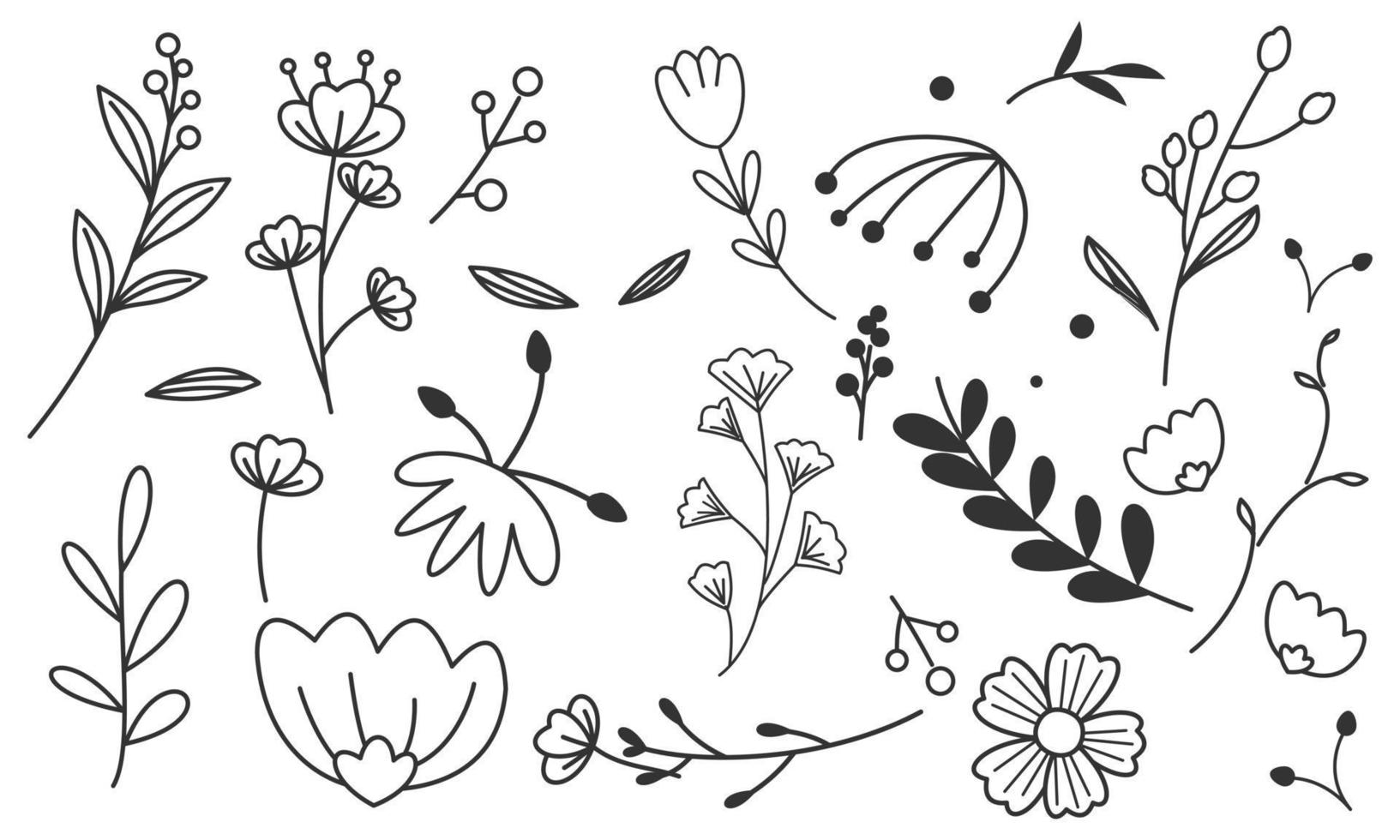 vector de doodle de flores y ramas dibujadas a mano