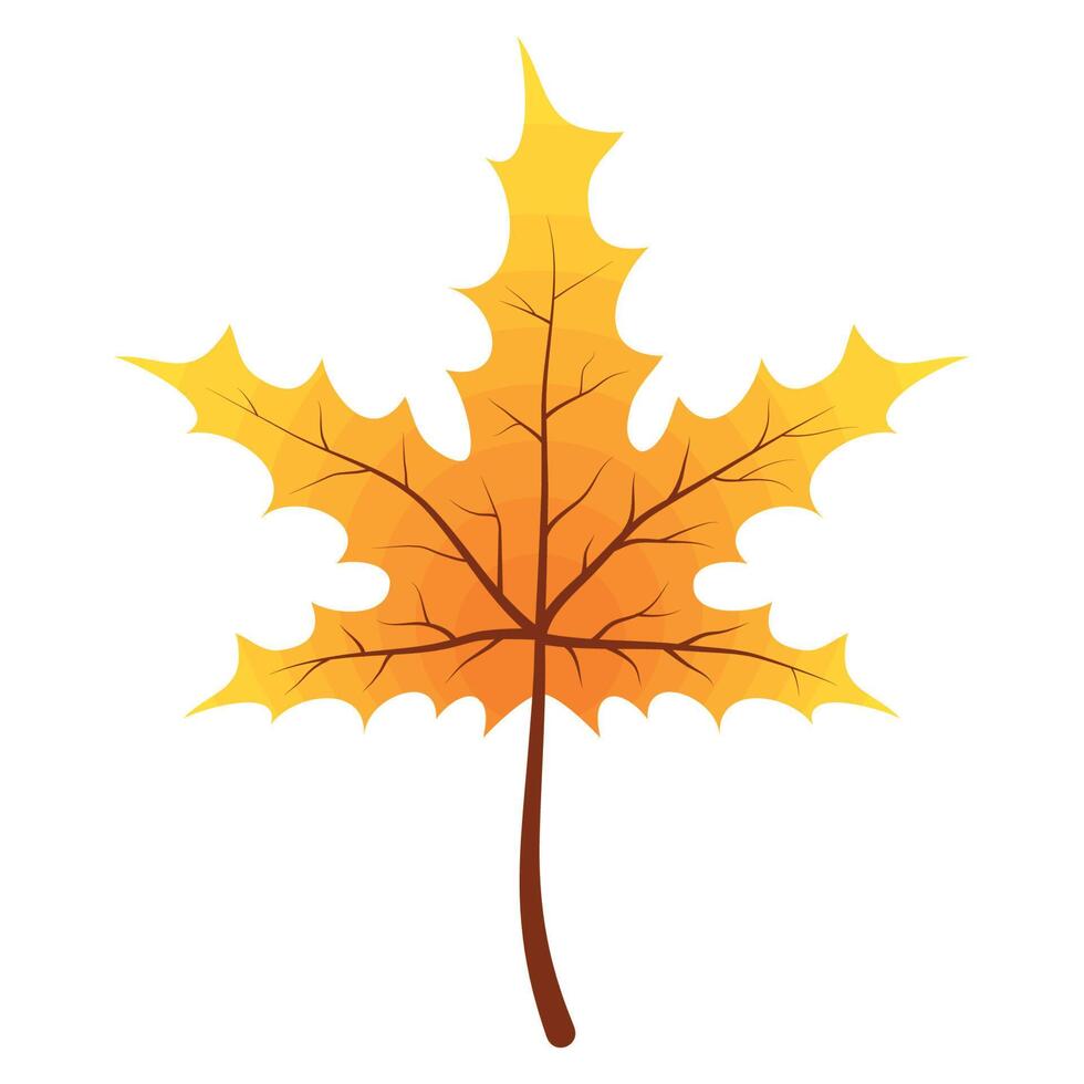 autumn maple leaf vector