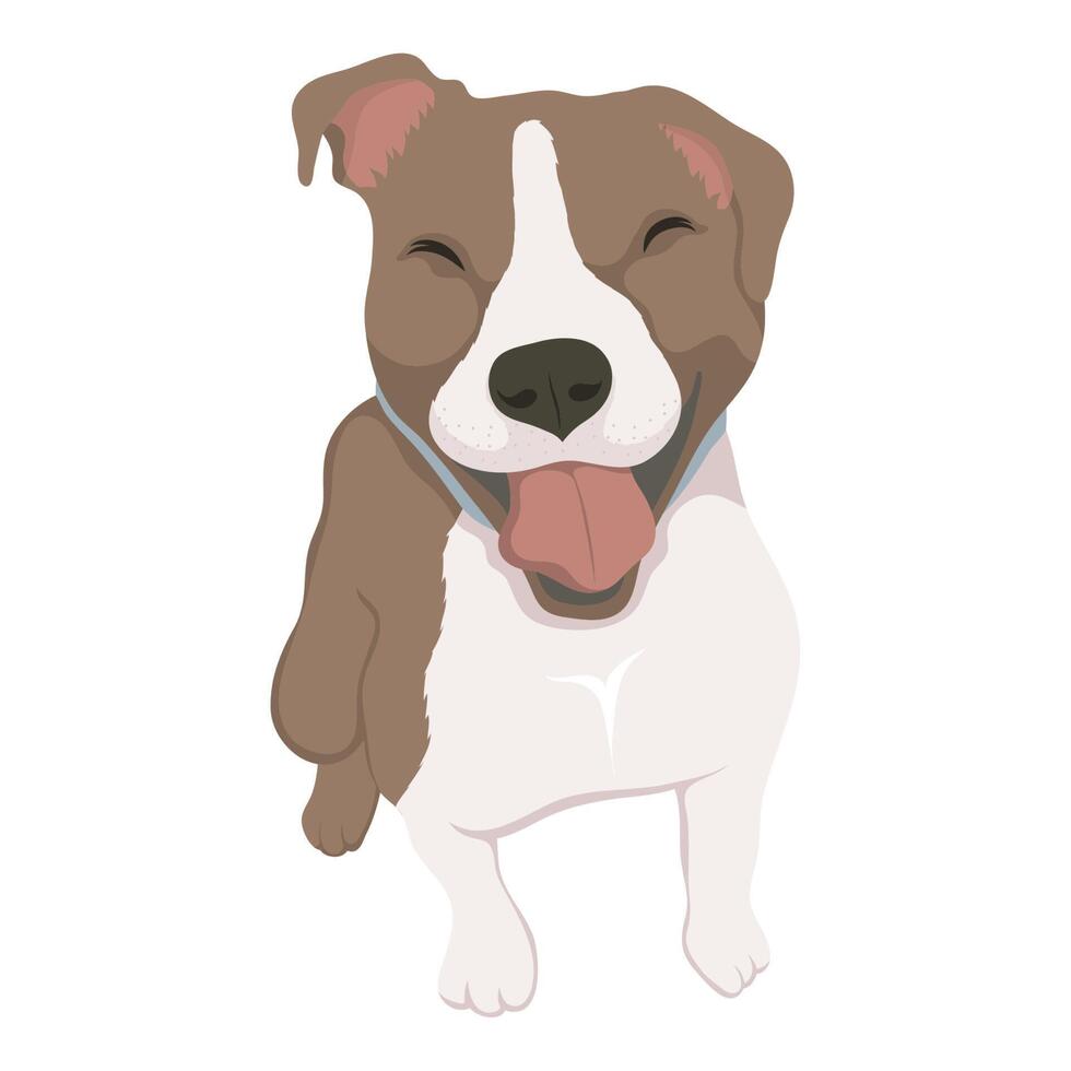 cute little dog mascot vector