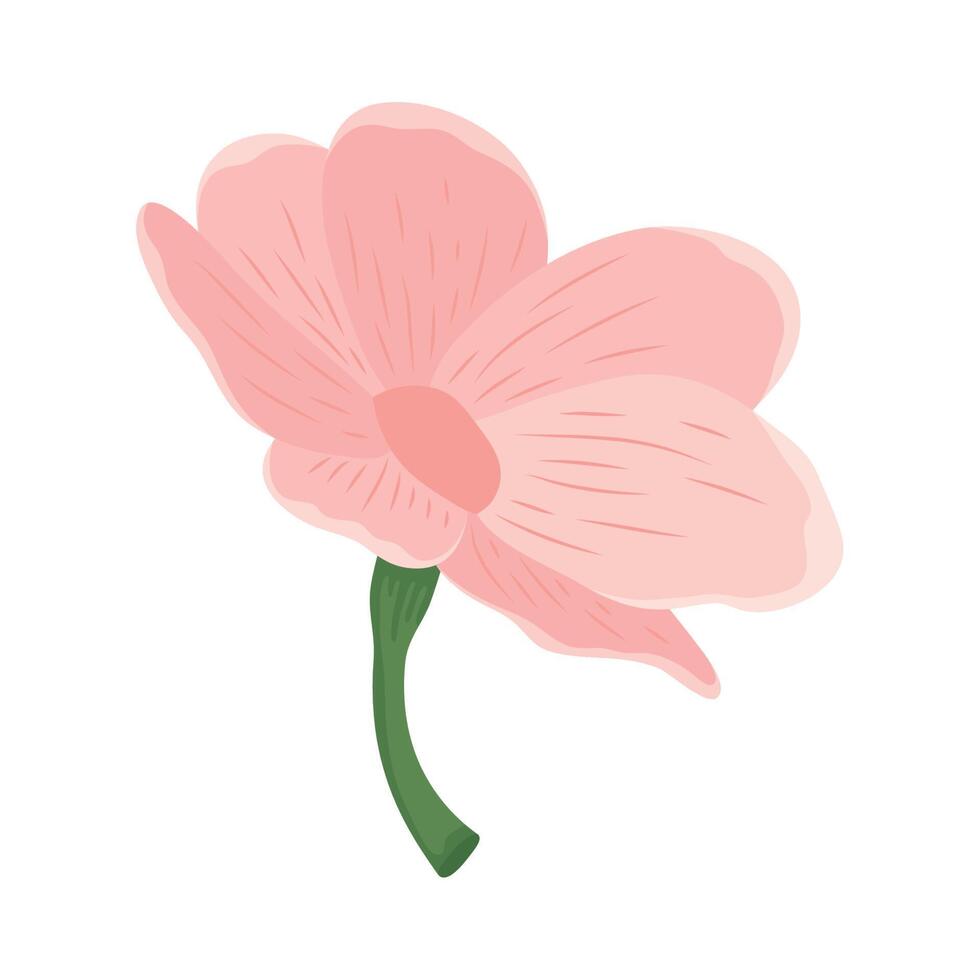 pink beautiful flower vector