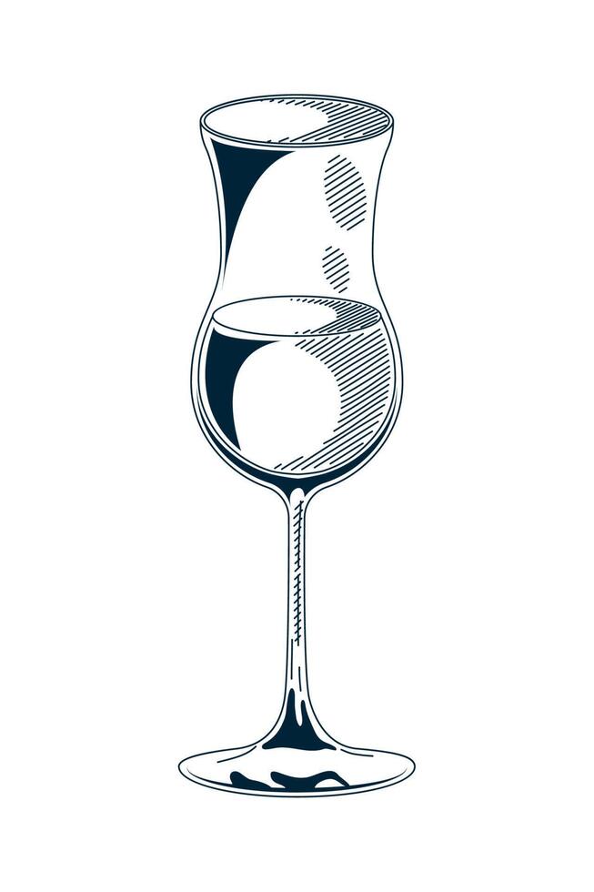 champagne cup drawn vector