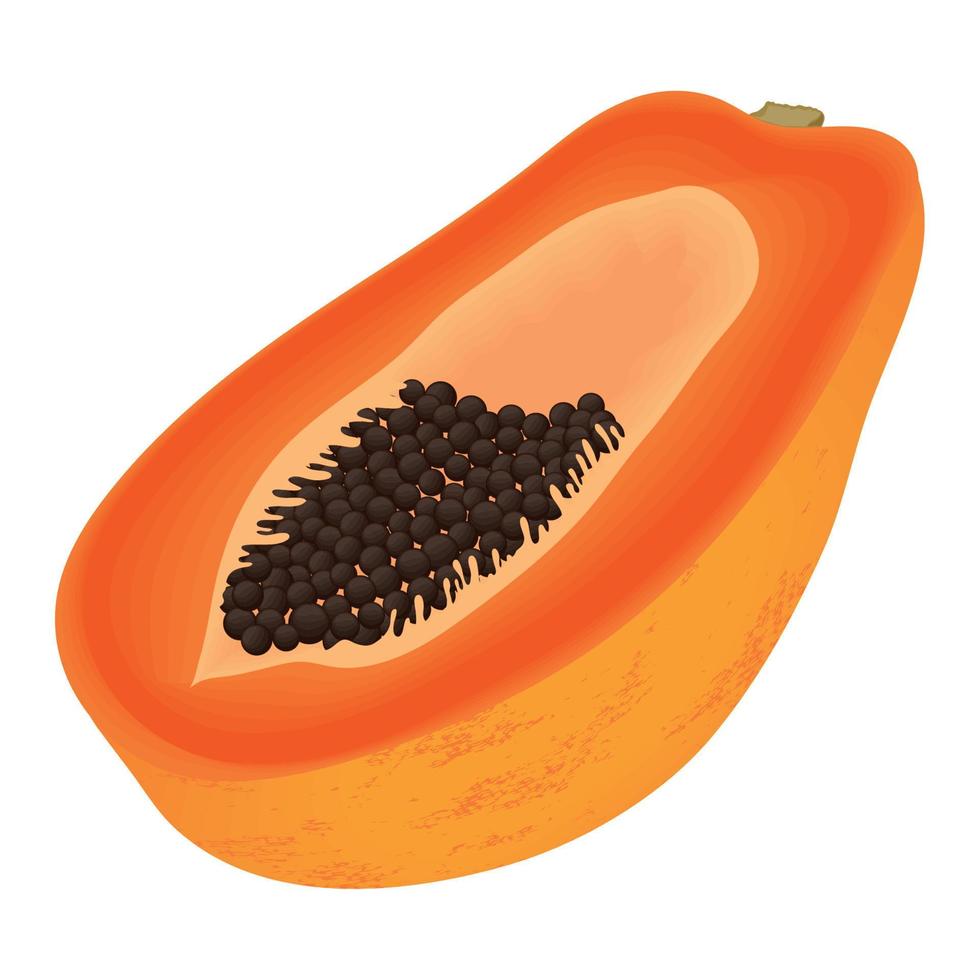 papaya fresh fruit vector