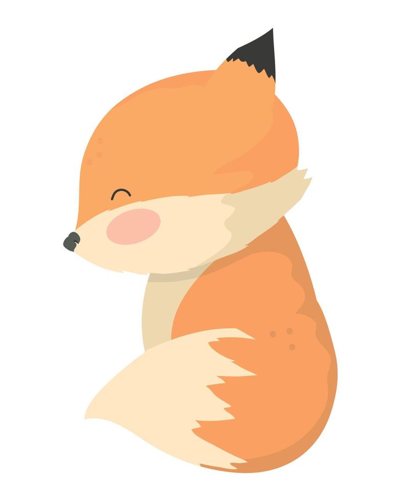 cute little fox vector