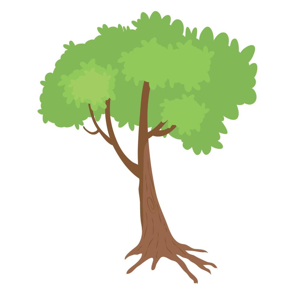 tree plant forest vector