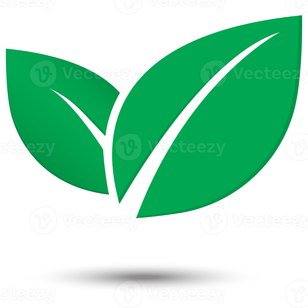 Leaf icon vector png