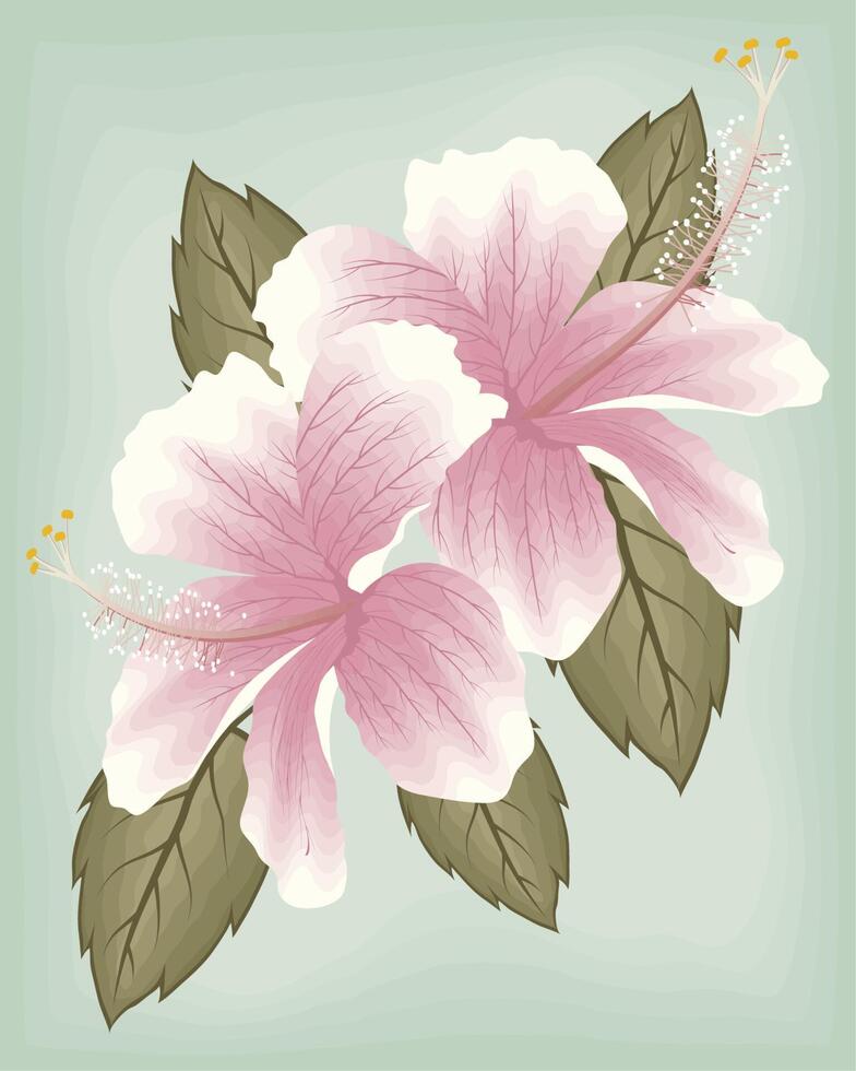 pink flowers hibiscus and leafs vector