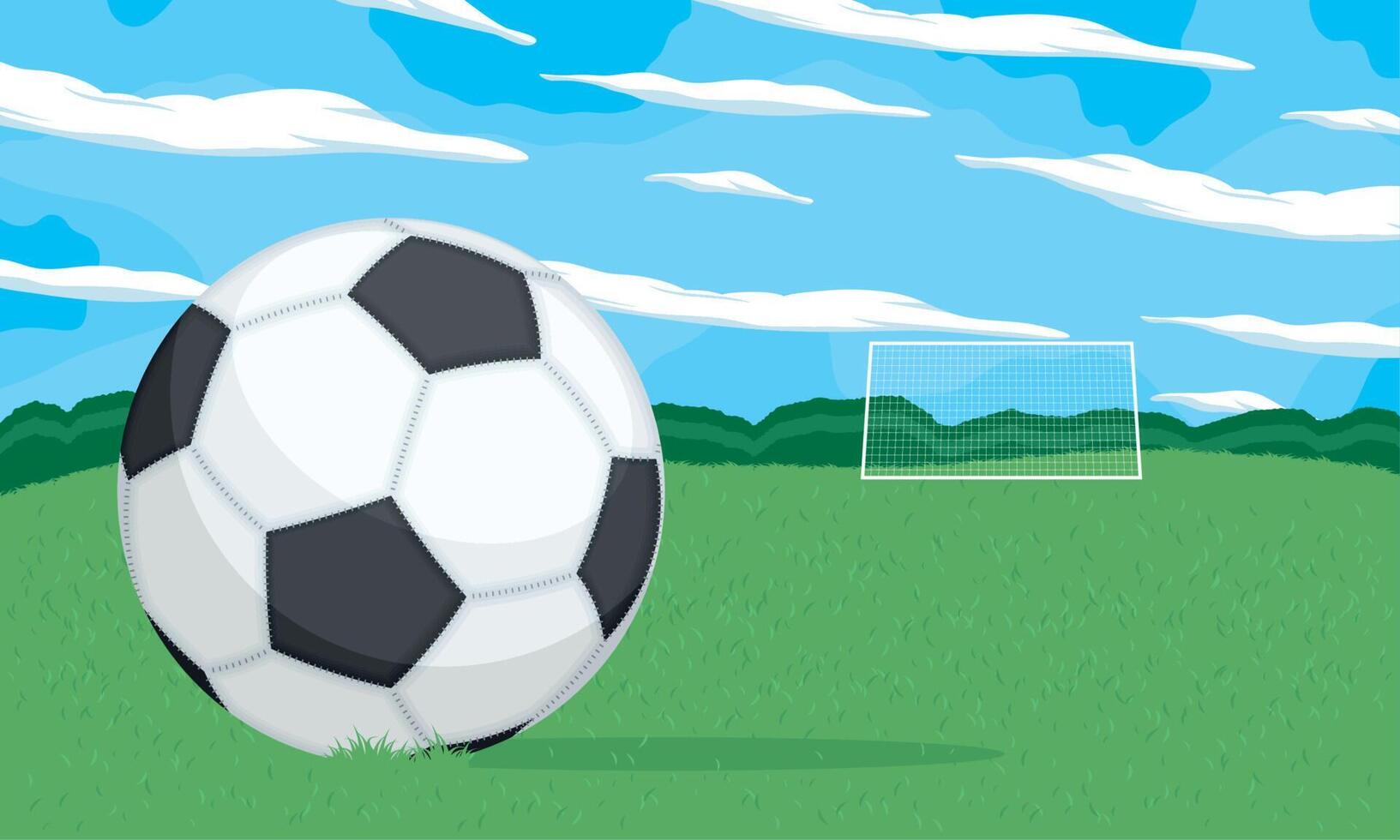 soccer balloon in grass vector